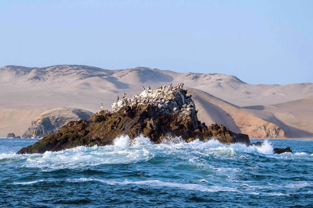 ballestas-1
