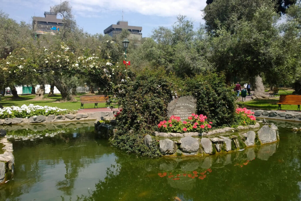 parque-el-olivar