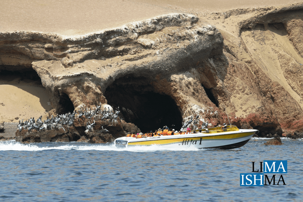 Paracas Tour
