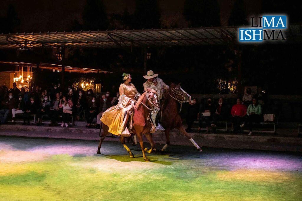 Peruvian Paso Horse & Dinner Show