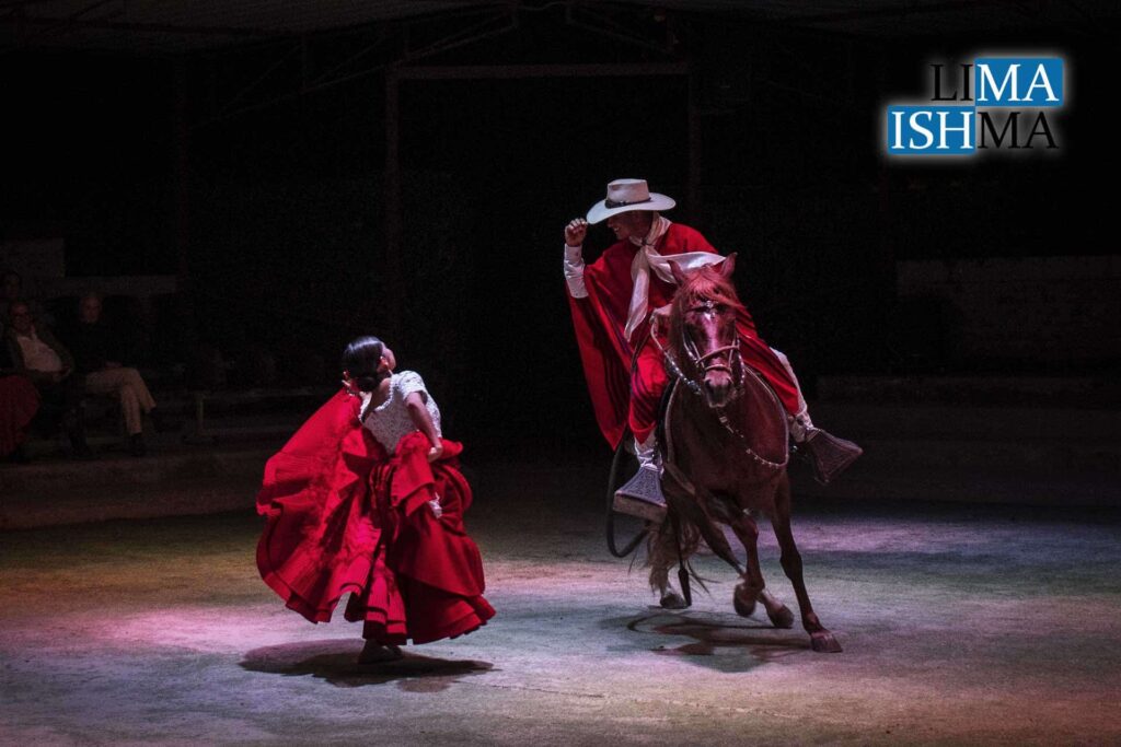 Peruvian Paso Horse & Dinner Show